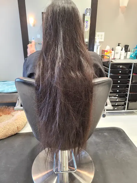 Client hair before a color service at Prima Hair and Day Spa, example 5
